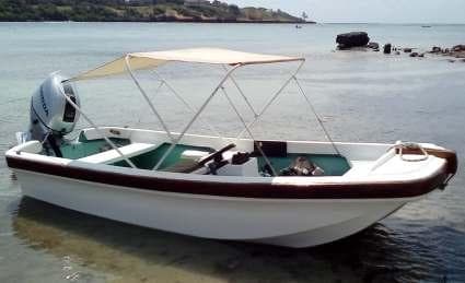 Fibreglass Bottom Whaler Open - 14ft